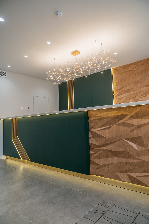 КРАСКИ DERUFA, КАРТИНЫ ПАРКЕ-ОТЕЛЕ ТРУБНИК ПО ПРОЕКТУНАТАЛЬИ БУРКОВОЙ, ЕКБ