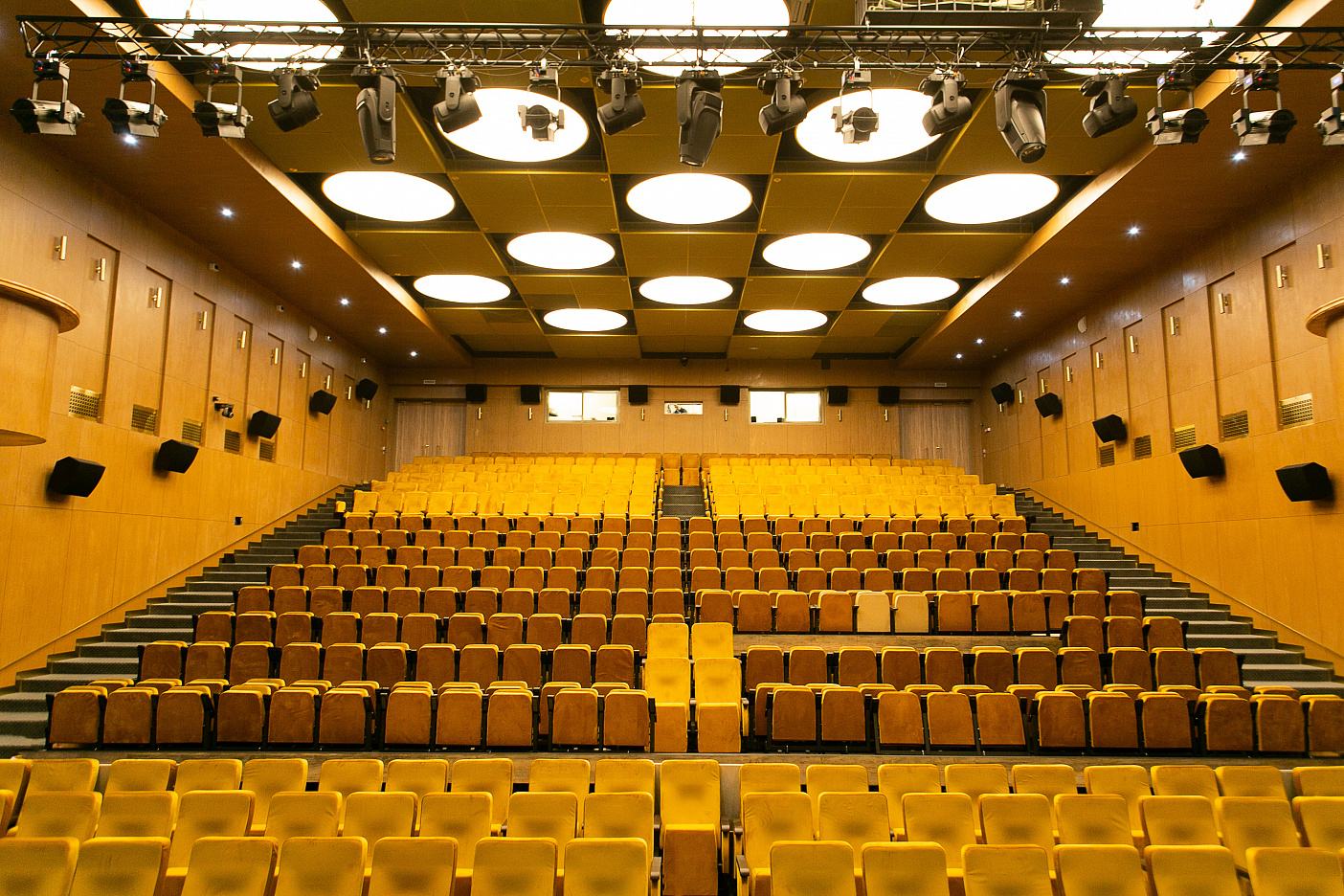 ДЕКОРАТИВНЫЕ ПОКРЫТИЯ ПОД ДЕРЕВО В ТЕАТРЕ ВИЗАВИ В СОСТАВЕ ЖК ДЕФАНС ОТ ГК ЛИДЕР ГРУПП, СПБ